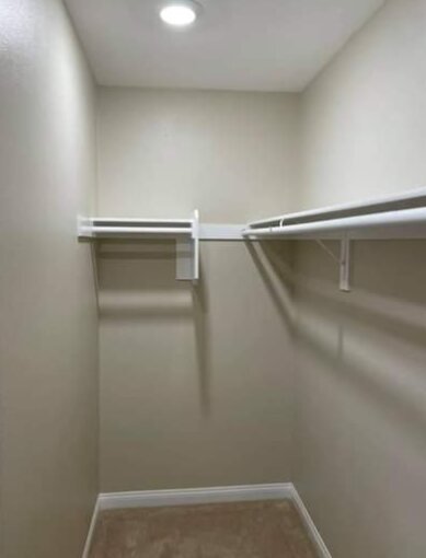 Walk-in closet with freshly painted walls and white shelving